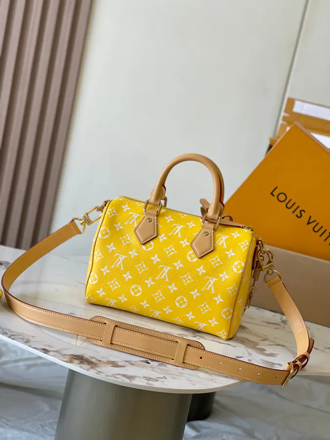 Pharrell Williams Bandouliere 25 Handbag From Paris to Virginia Collection