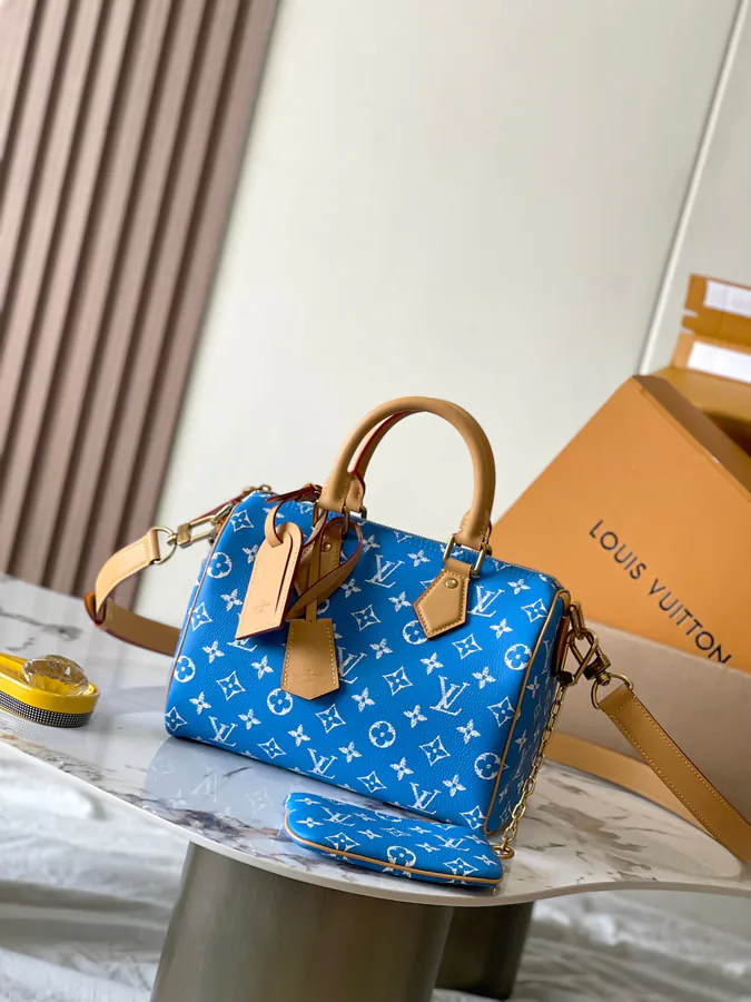 Pharrell Williams Bandouliere 25 Handbag from 2024 Autumn Collection