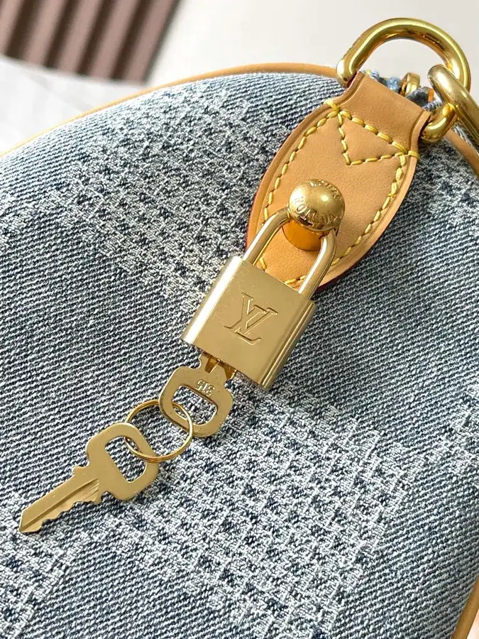 Pharrell Williams Speedy 25Bandouliere Handbag with Damier Denim 3D Canvas