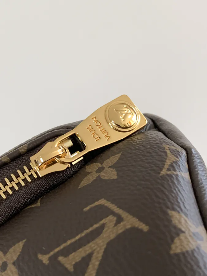 Rush Crossbody Bag in Monogram Canvas