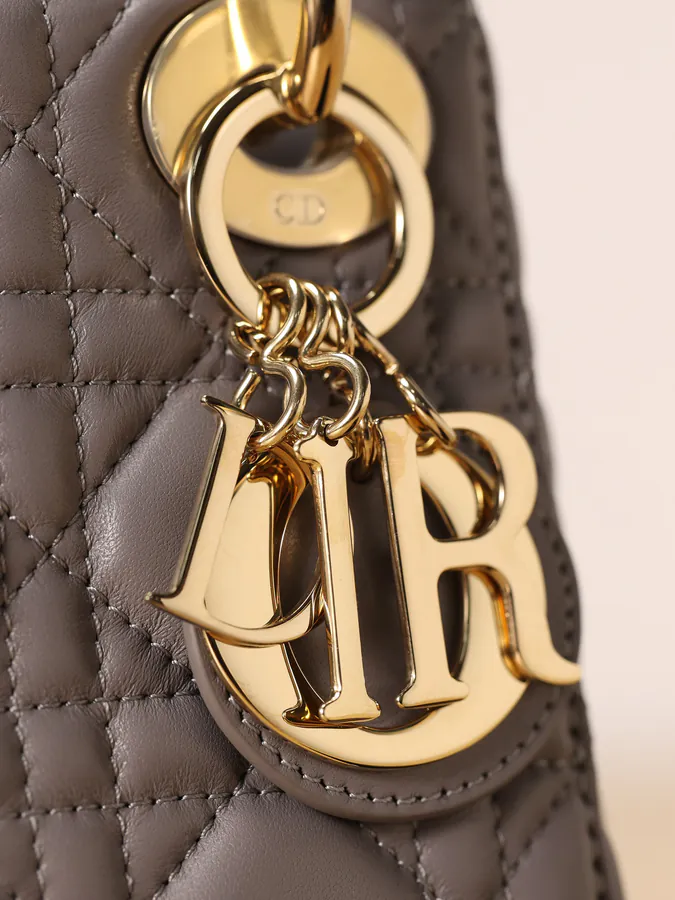 Dai Fei Bag Three Compartment Grained Calfskin Gold Clasp