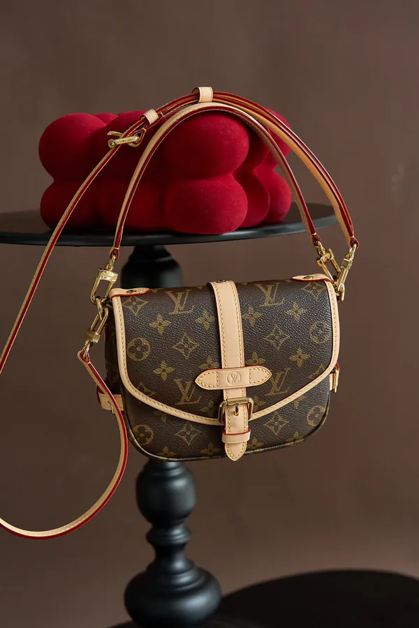 SAUMUR BB Handbag M46740