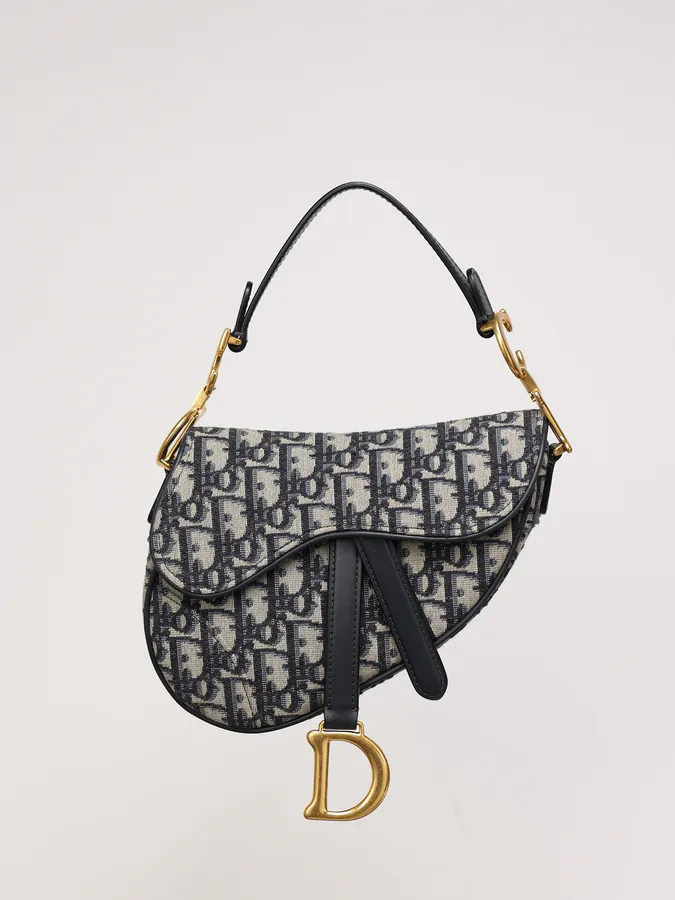 Maria Grazia Chiuri Mini Saddle Bag with Strap