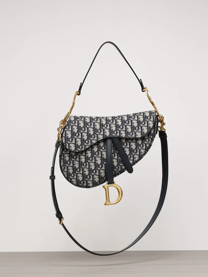 Maria Grazia Chiuri Saddle Bag with Blue Oblique Print