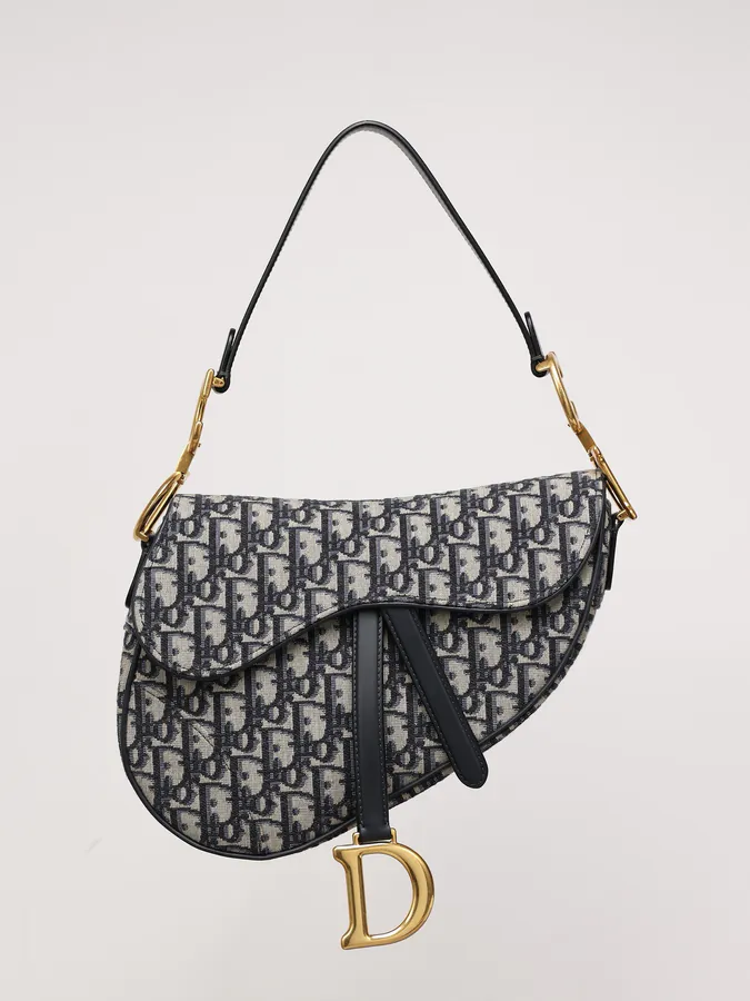Maria Grazia Chiuri Saddle Bag with Blue Oblique Print