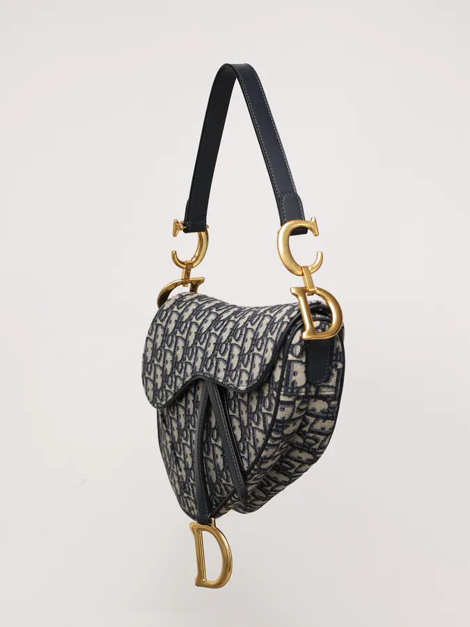 Maria Grazia Chiuri Saddle Bag with Blue Oblique Print