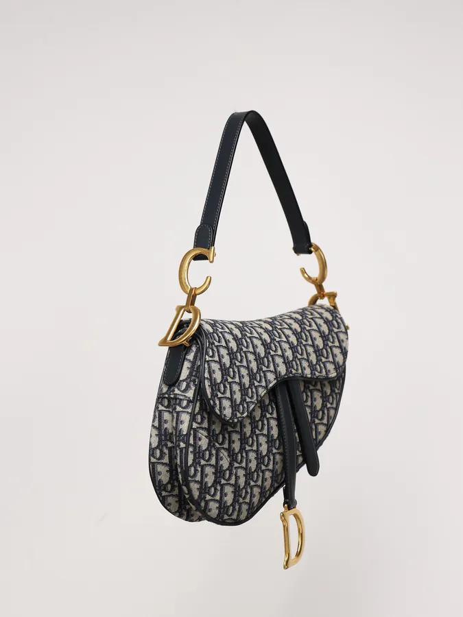 Maria Grazia Chiuri Saddle Bag with Blue Oblique Print