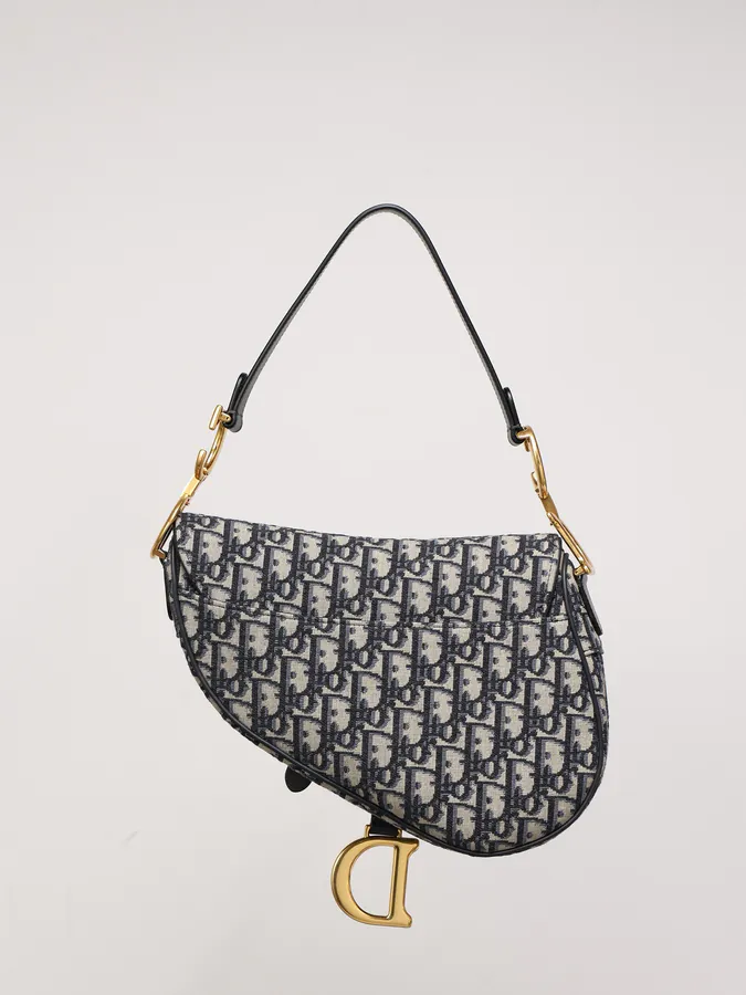 Maria Grazia Chiuri Saddle Bag with Blue Oblique Print