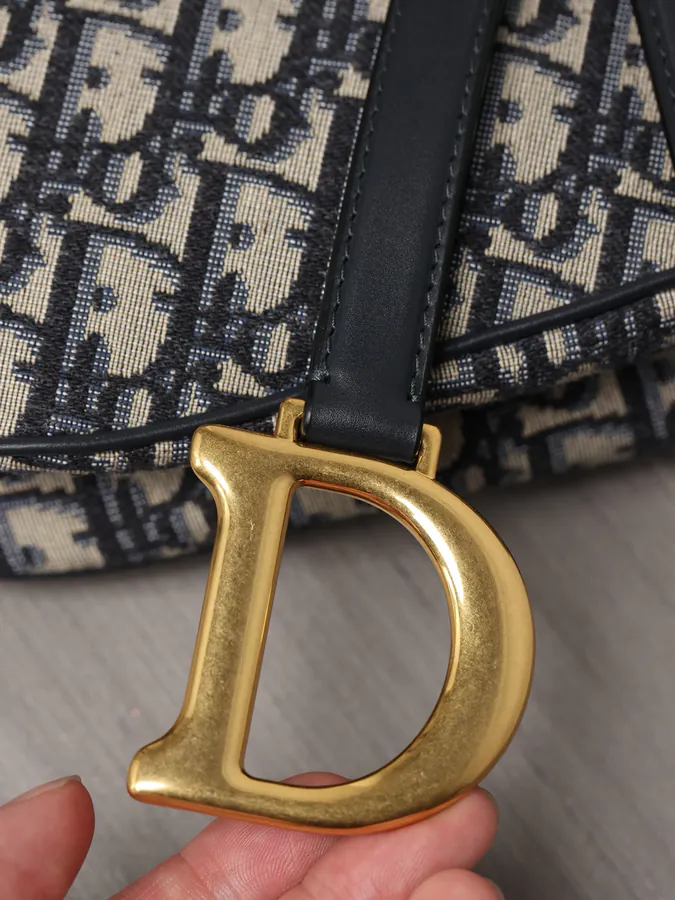 Maria Grazia Chiuri Saddle Bag with Blue Oblique Print