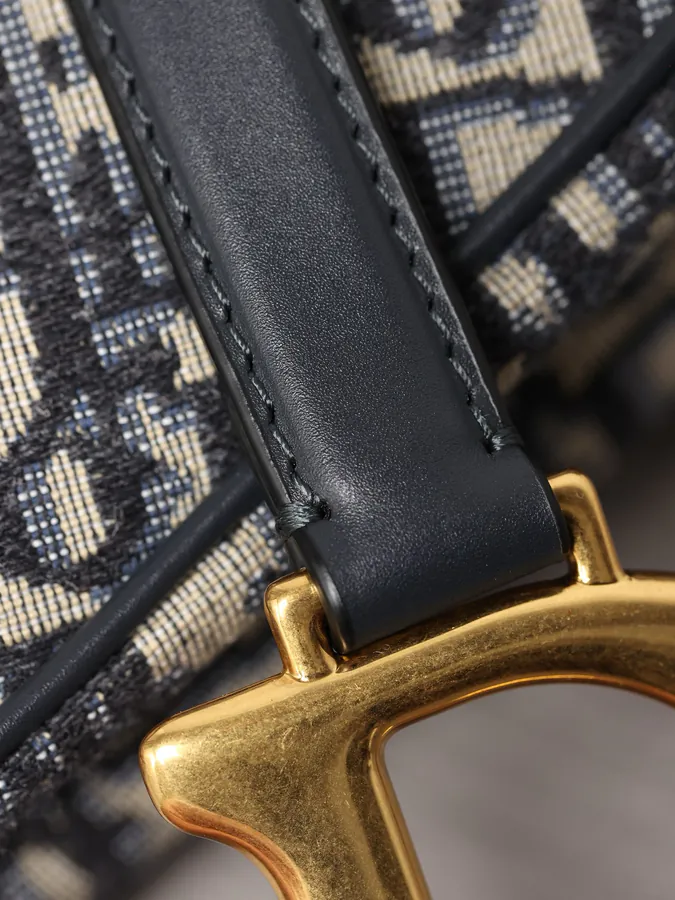 Maria Grazia Chiuri Saddle Bag with Blue Oblique Print