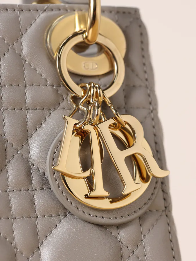 Dai Fei Bag Three Compartment Grained Calfskin Gold Clasp