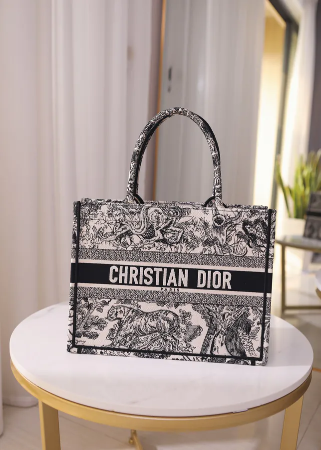 Christian Dior Book Tote Handbag Small Size