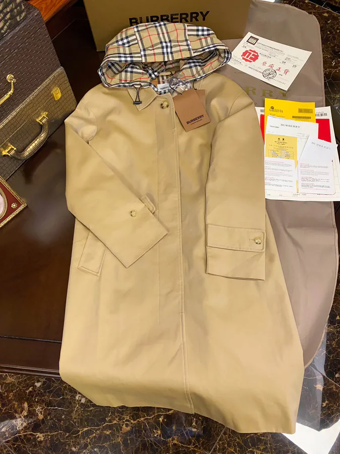 B Brand Latest Must Have Autumn Cotton Gabardine Hoodie with Matching Dust Bag and Full Packaging Box