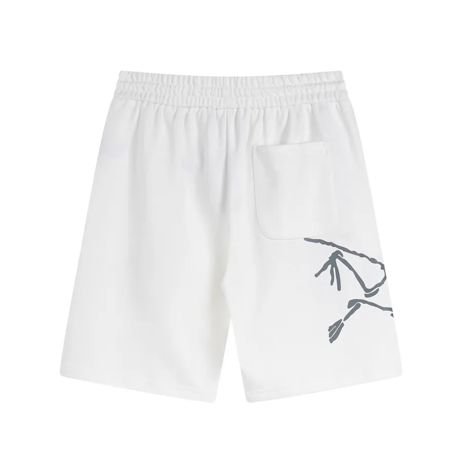 Arc'teryx 2025 Classic Logo Creative Print Hoodie