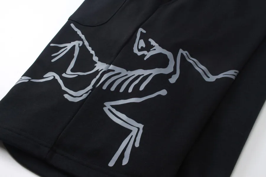 Arc'teryx 2025 Classic Logo Creative Print Hoodie