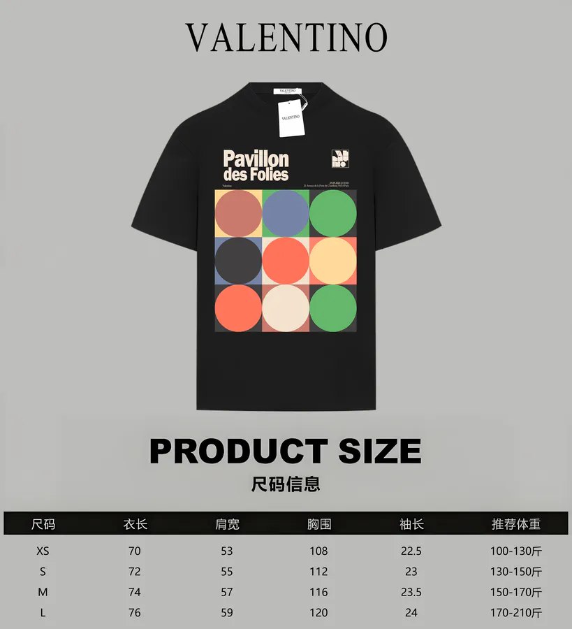 Valentino Classic Logo Print Double Jersey Cotton T Shirt