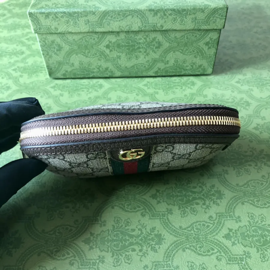 Ophidia Series Mini Cosmetic Bag GG Supreme