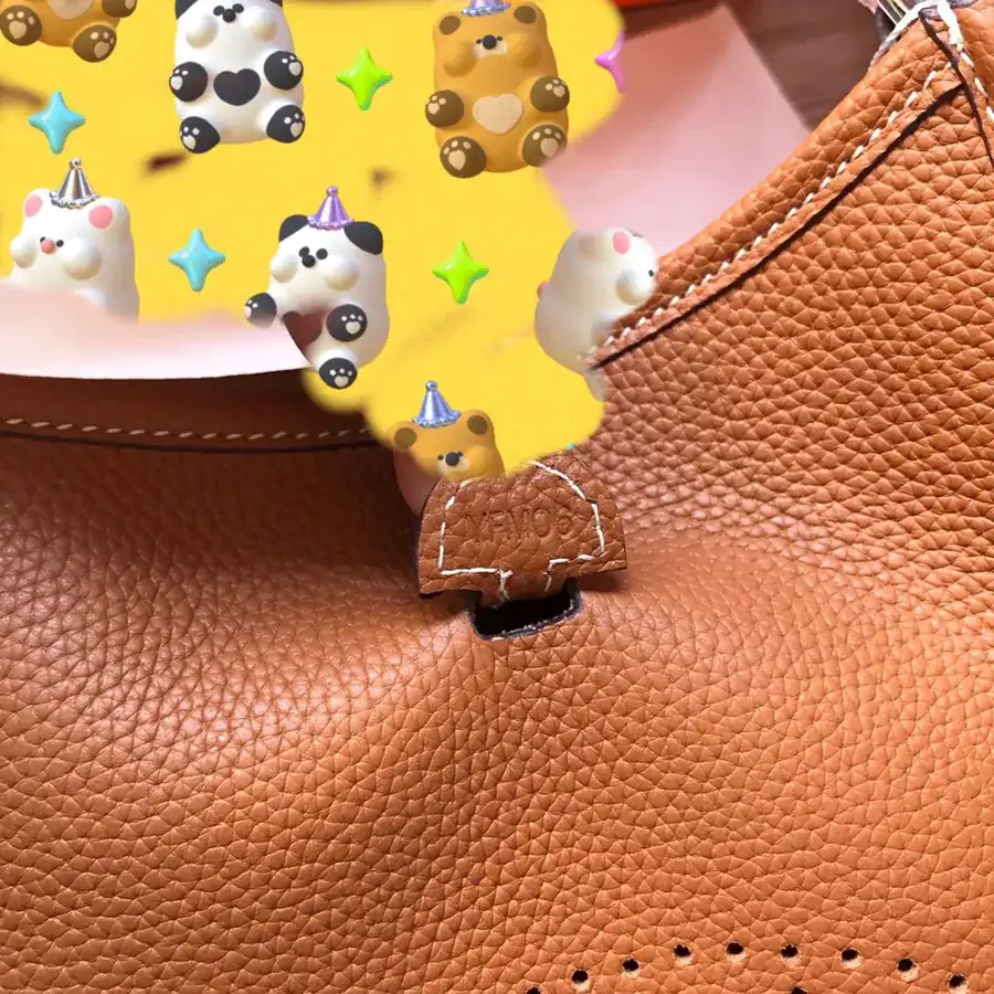 Evelyne Mini in Top Grain Calfskin with Premium Hardware