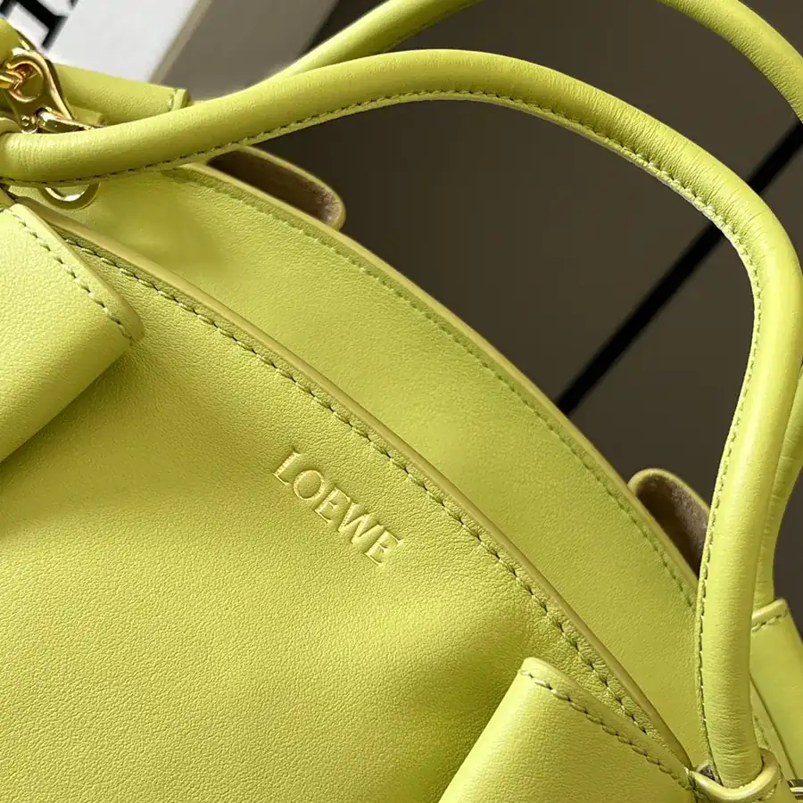 L家 New Mini Paseo Dumpling Bag