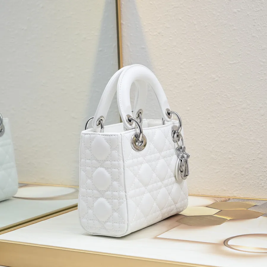 Dior Mini Tote with Silver Clasp