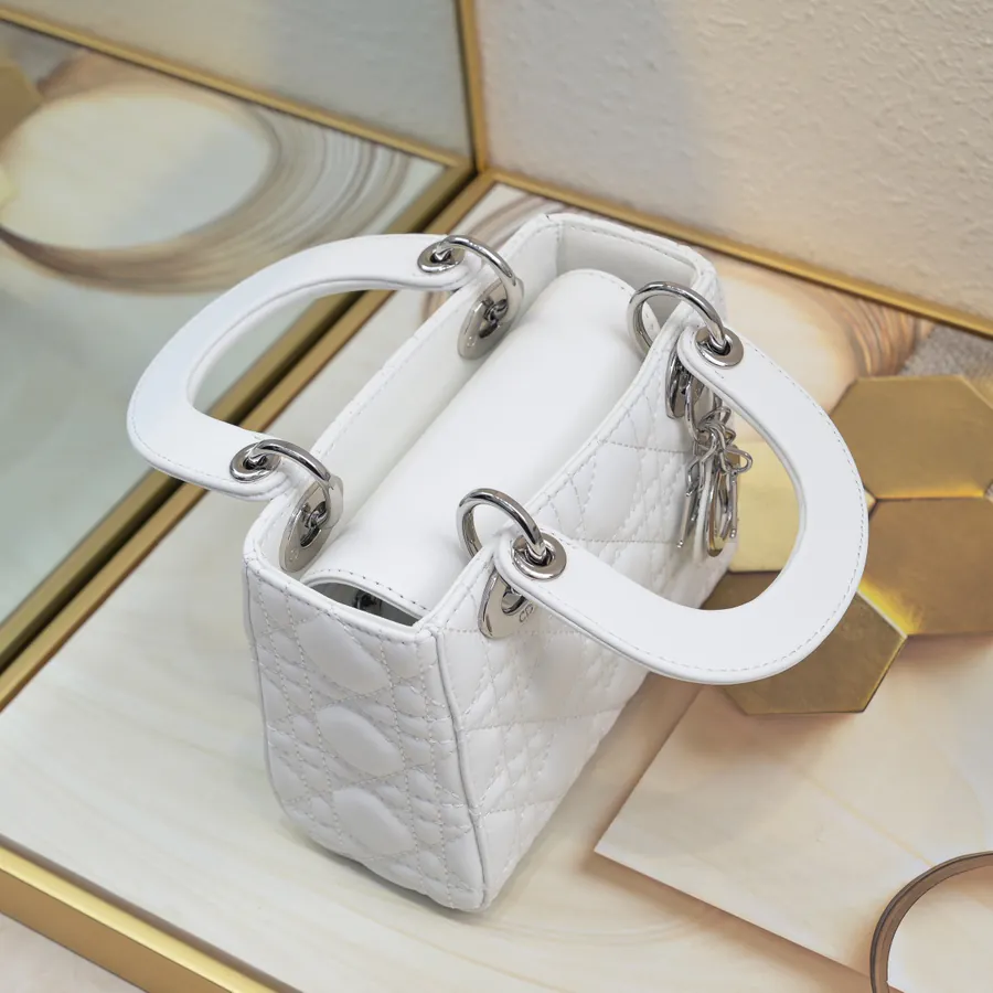 Dior Mini Tote with Silver Clasp