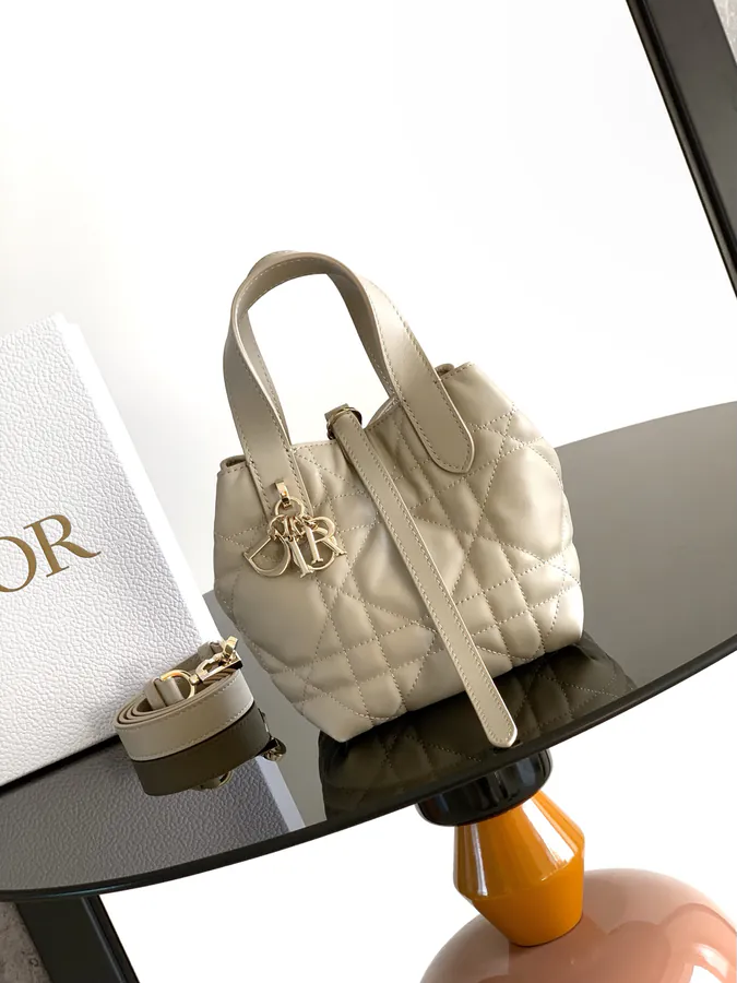 Mini Toujours Vertical Handbag 2025 Autumn Ready to Wear Collection