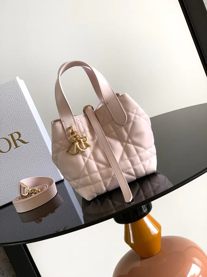 Mini Toujours Vertical Handbag 2025 Autumn Ready to Wear Collection