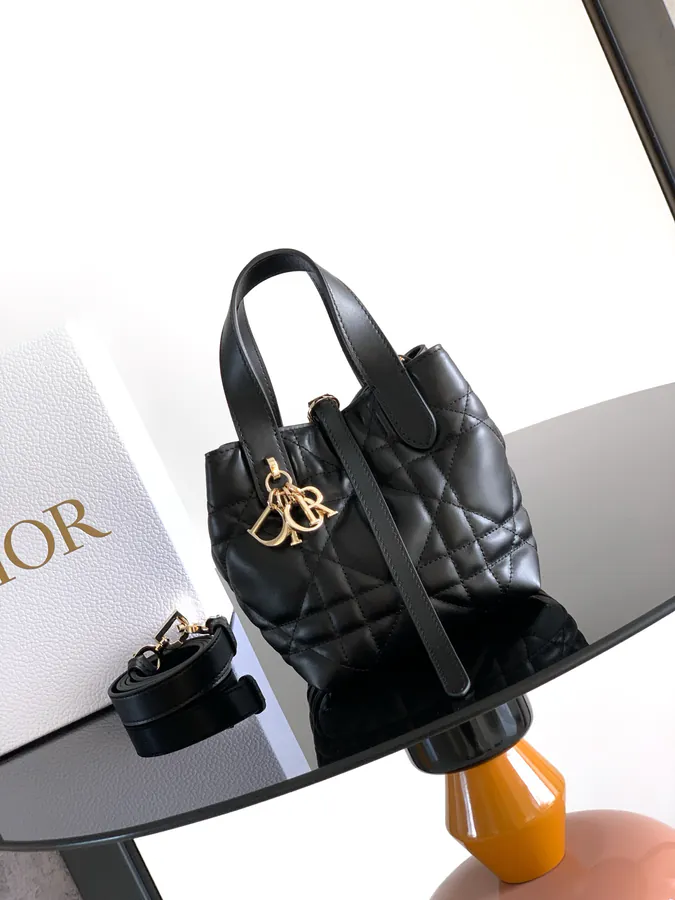 Mini Toujours Vertical Handbag 2025 Autumn Ready to Wear Collection