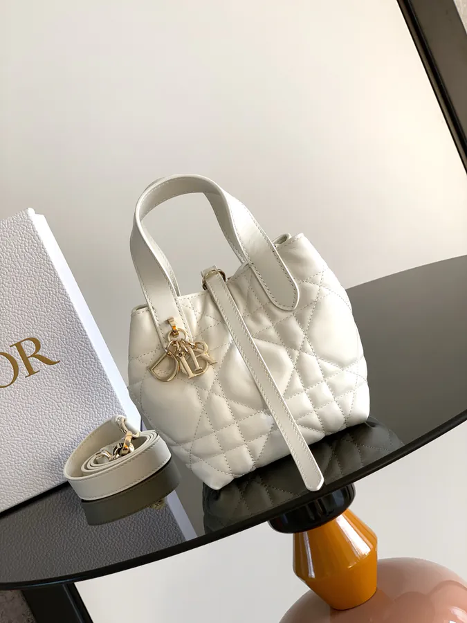 Mini Toujours Vertical Handbag 2025 Autumn Ready to Wear Collection