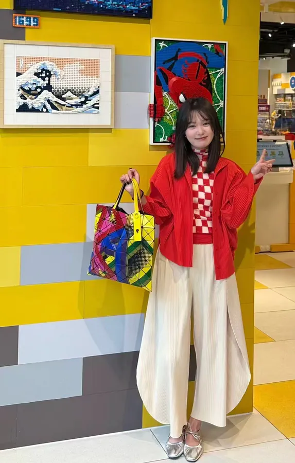 BAO BAO ISSEY MIYAKE|Meticulous Handcraft 6 Compartment Bag