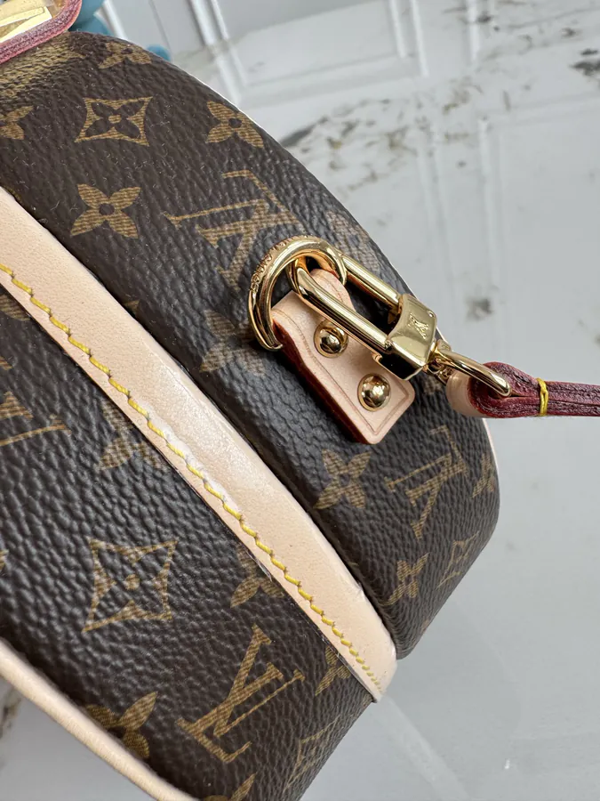 Louis Vuitton Capucien Tote Cute and Practical