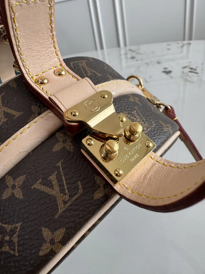 Louis Vuitton Capucien Tote Cute and Practical