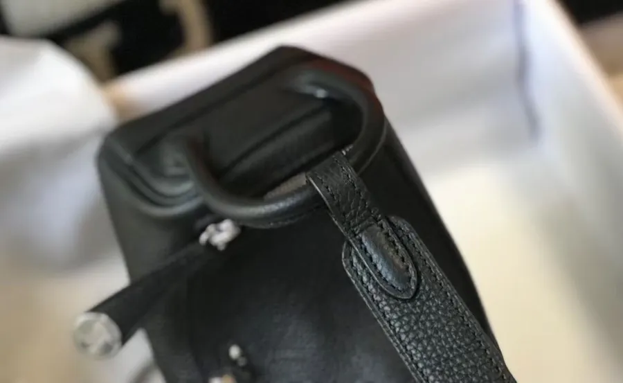Mini Lindy Togo Bag in Top Grain Calfskin with Silver Buckle