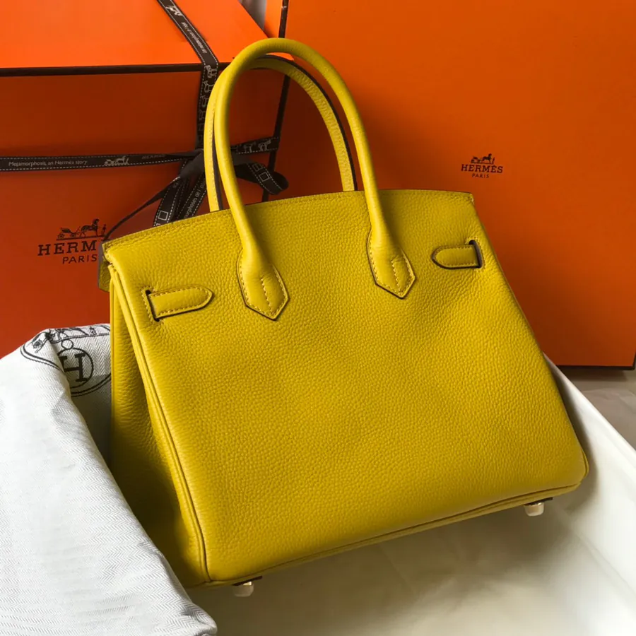 Hermès Birkin Bucket Bag in Grained Calfskin