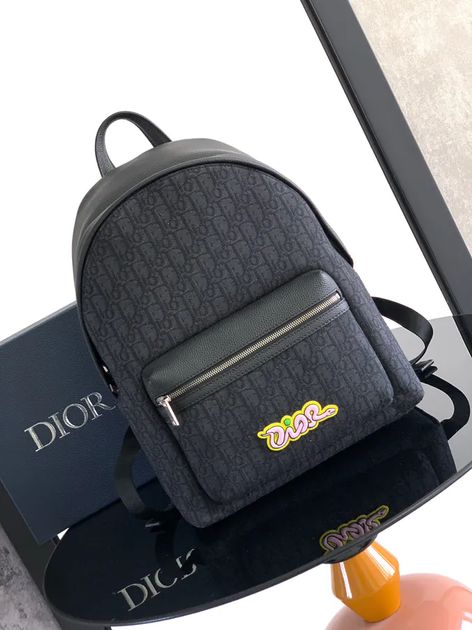 Dior and Kaws Limited Series Zip Double Shoulder Bag
