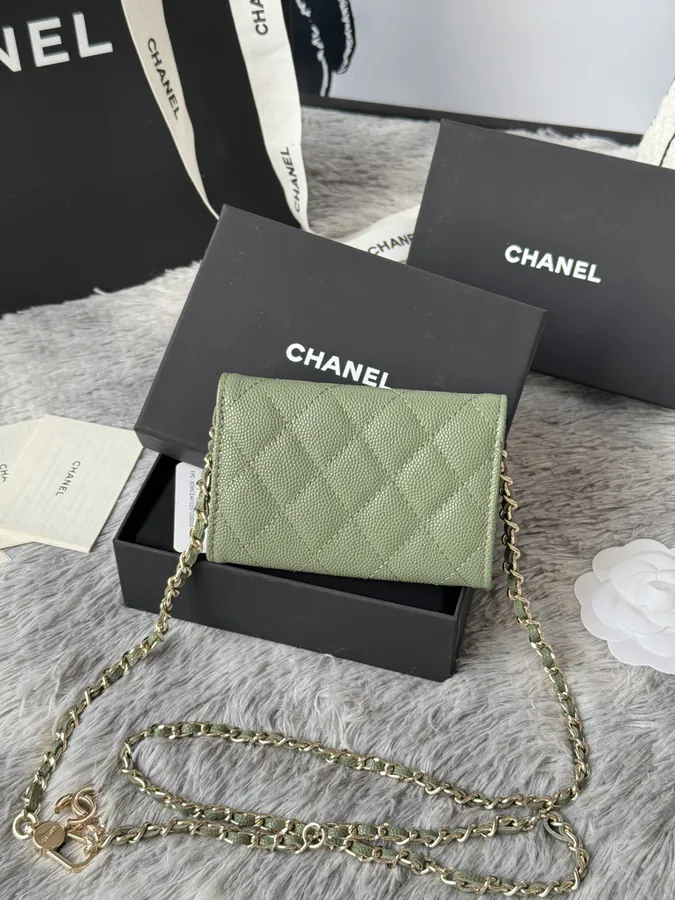 Chane New Fishnet Grain Calfskin Waist Bag