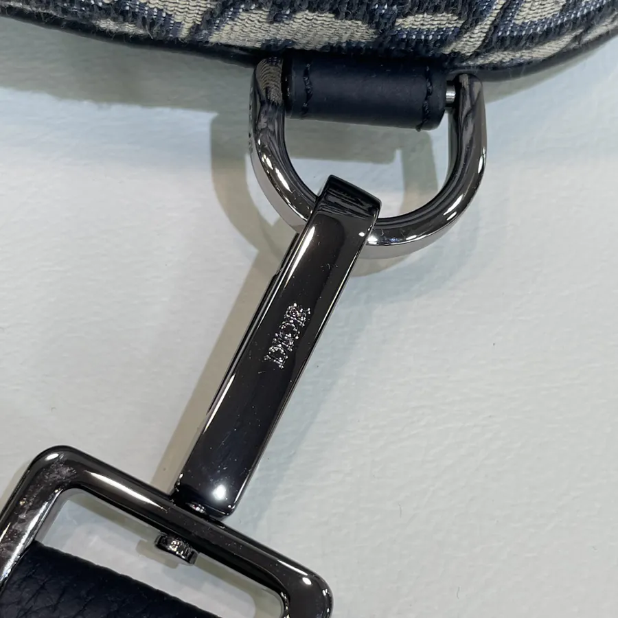 Dio Oblique Mini Saddle Crossbody Bag