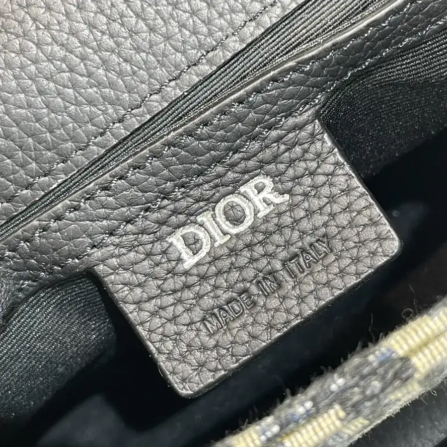 Dio Oblique Mini Saddle Crossbody Bag