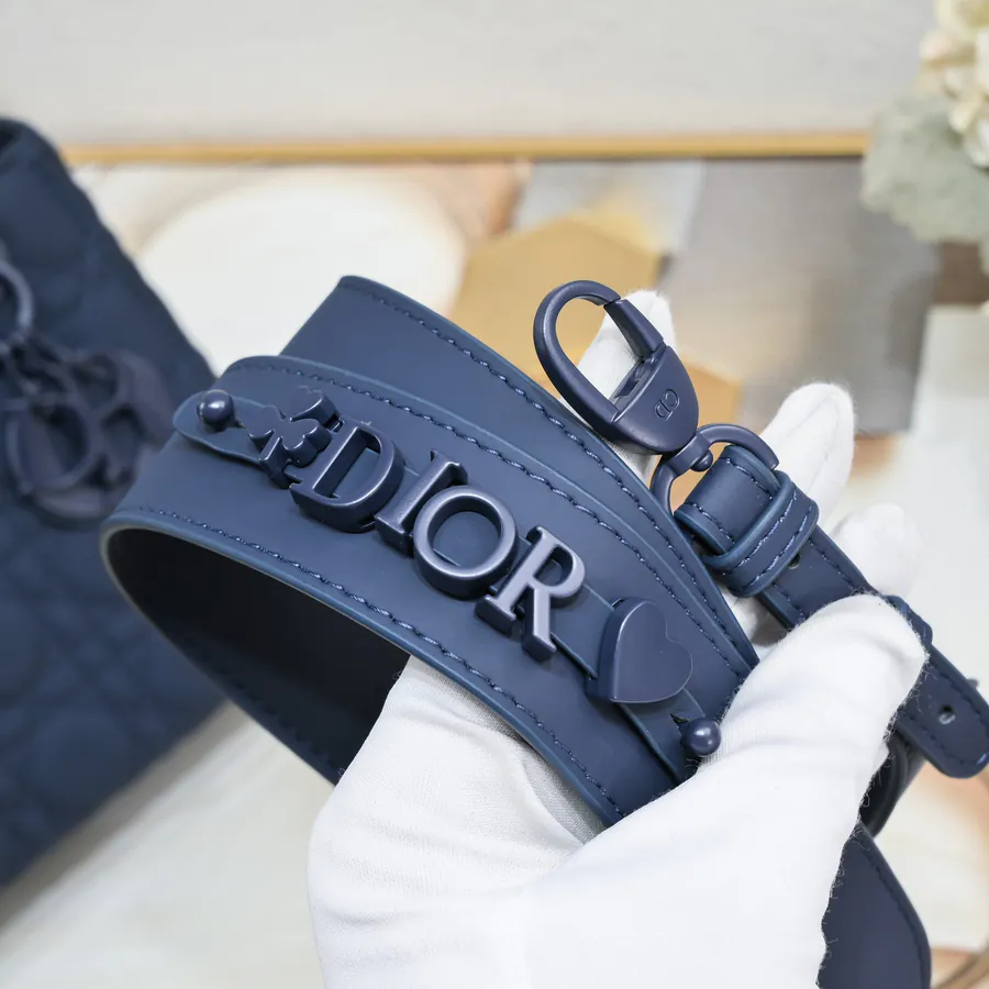 Di0r Upgrade Version 20cm Grained Calfskin Bucket Bag