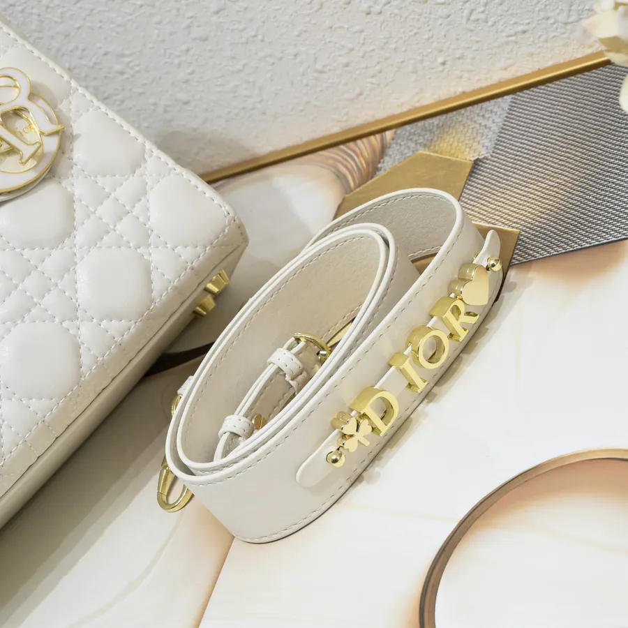 Lady Dio.r Four Compartment Calfskin Bag with Engraved Brass Clasp