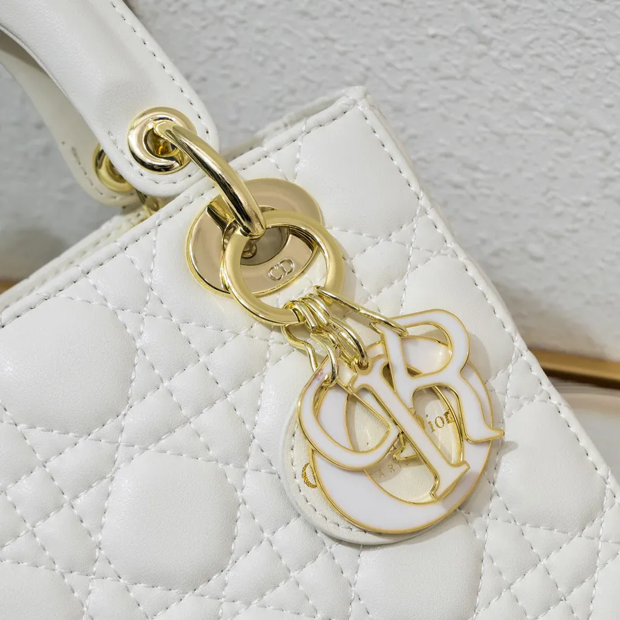 Lady Dio.r Four Compartment Calfskin Bag with Engraved Brass Clasp