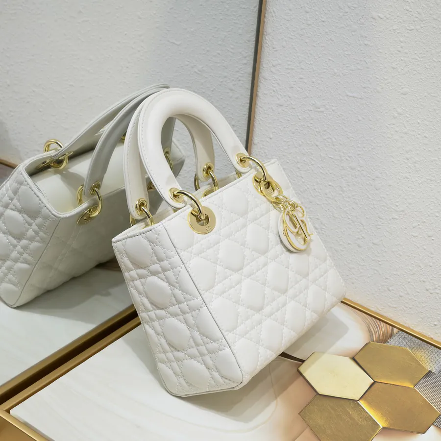 Lady Dio.r Four Compartment Calfskin Bag with Engraved Brass Clasp