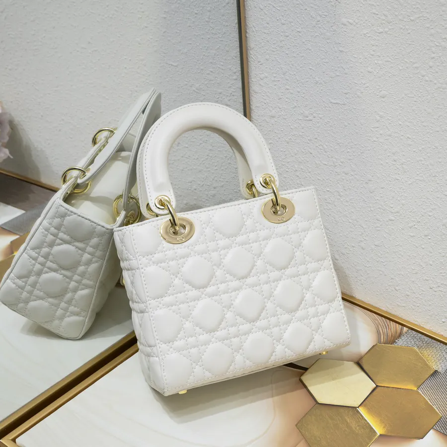 Lady Dio.r Four Compartment Calfskin Bag with Engraved Brass Clasp