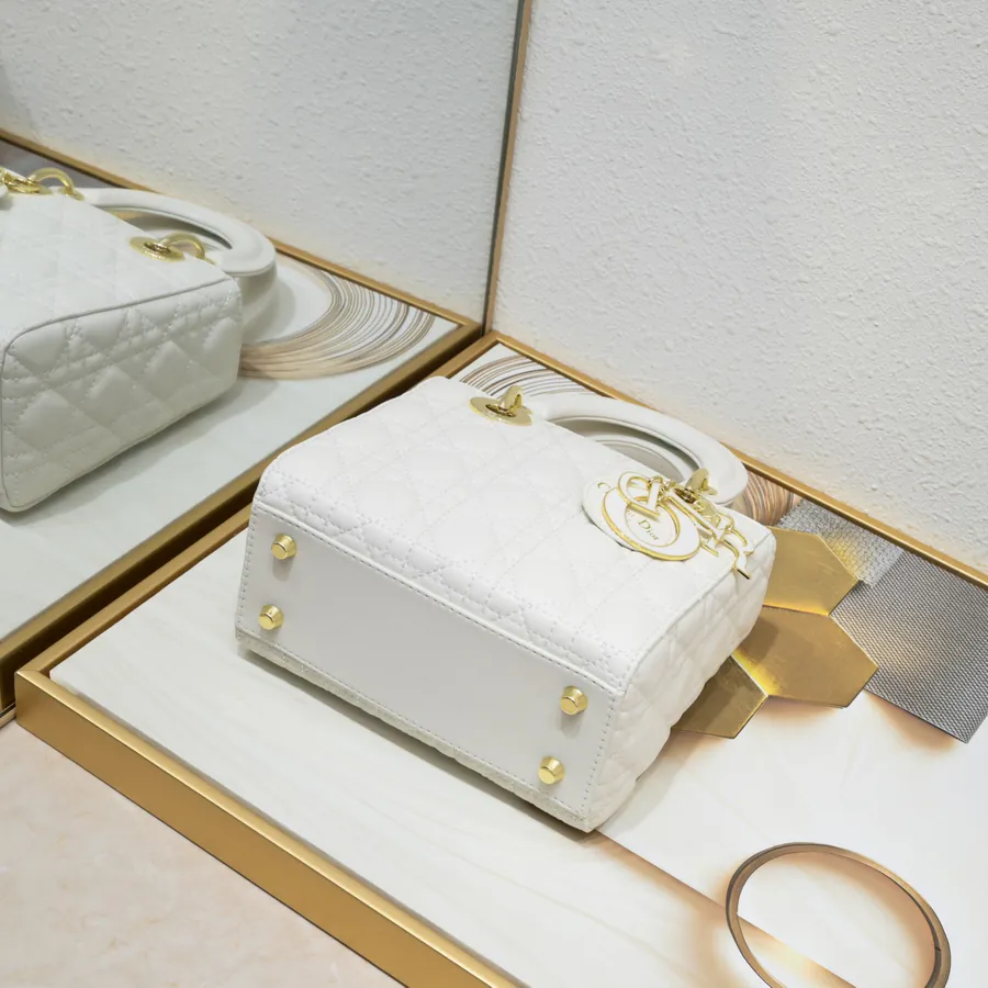 Lady Dio.r Four Compartment Calfskin Bag with Engraved Brass Clasp
