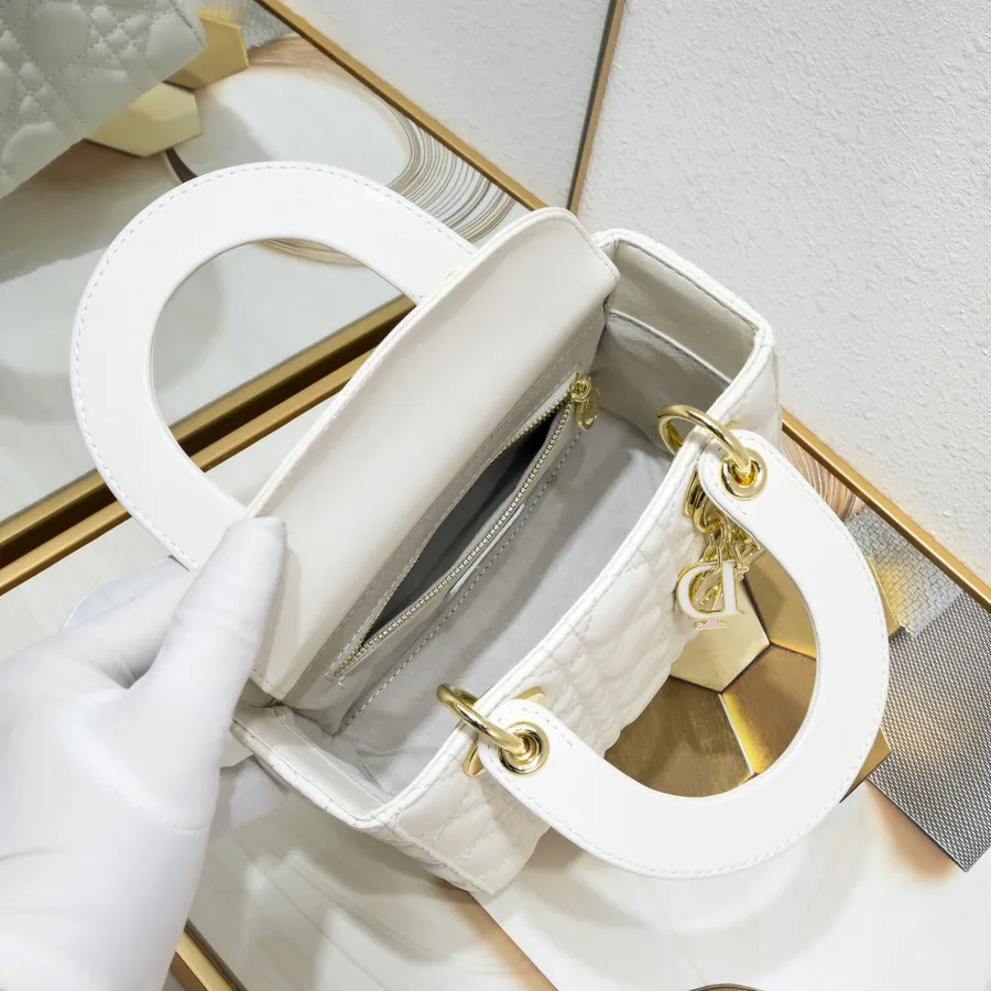 Lady Dio.r Four Compartment Calfskin Bag with Engraved Brass Clasp