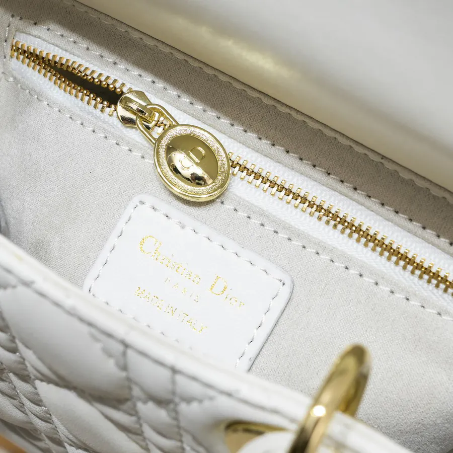 Lady Dio.r Four Compartment Calfskin Bag with Engraved Brass Clasp