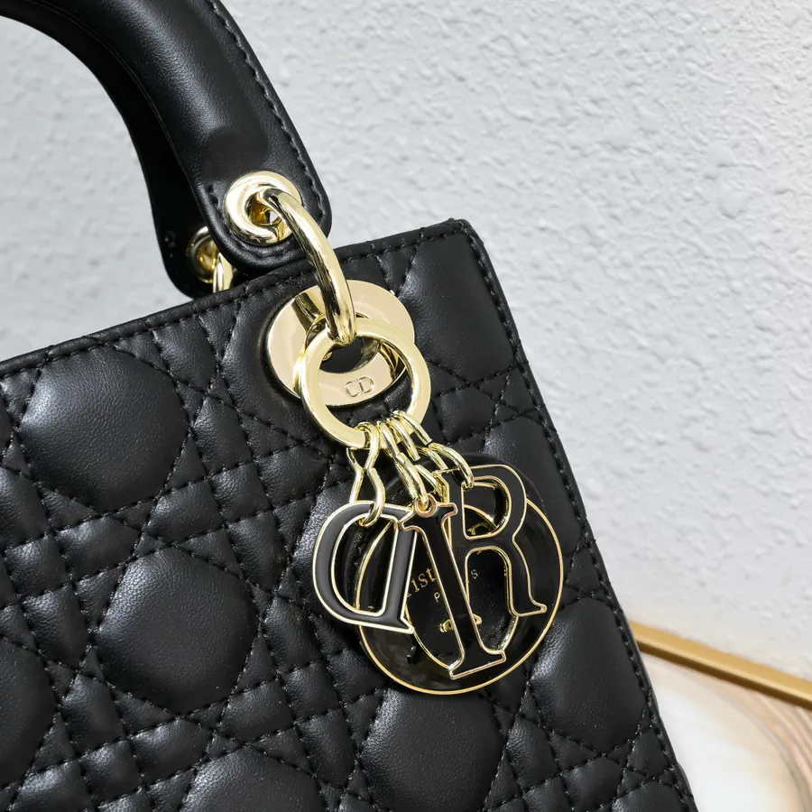 Lady Dio.r Four Compartment Calfskin with Engraved Brass Clasp