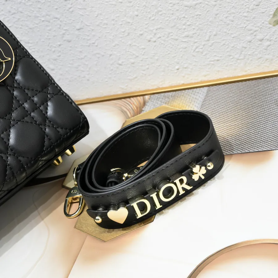 Lady Dio.r Four Compartment Calfskin with Engraved Brass Clasp