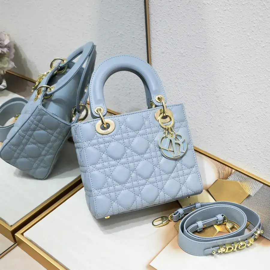 Lady Dio.r Four Compartment Calfskin Bag with Engraved Clasp