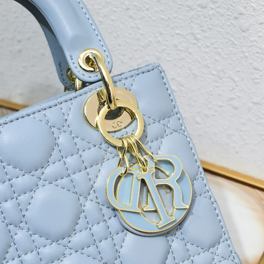 Lady Dio.r Four Compartment Calfskin Bag with Engraved Clasp